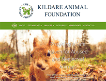 Tablet Screenshot of animalfoundation.ie